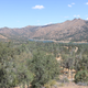 Illustration for article titled Toby Hike Day: Wellbarn Road to San Joaquin River Trail